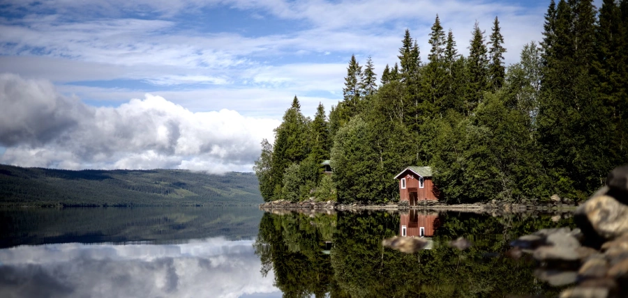 Takmålning av målerikillarna
