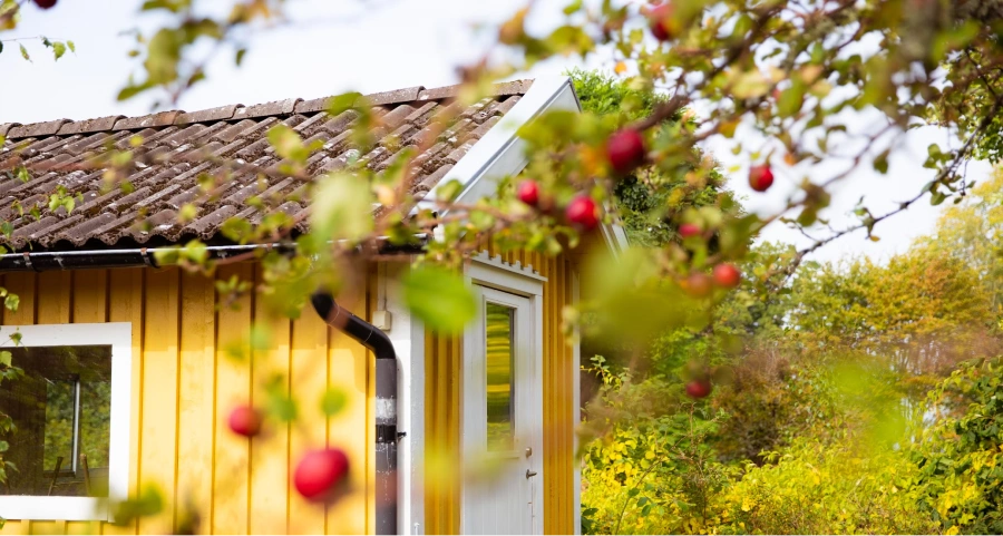 Fasadmålning målerikillarna
